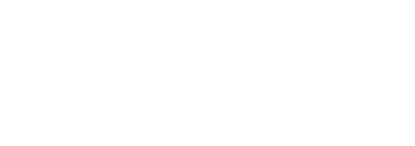 Bullion Bluegold S.r.l.